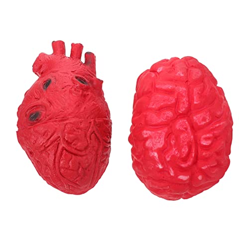 TOYANDONA 2Stücke Blutige und Herz Dekoration für Halloween Realistische Menschliche für Gruselige Partys und Spukhäuser zur Schaffung Schaurigen TOYANDONA 2Stücke Blutige und Herz Dekoration für Halloween Realistische Menschliche für Gruselige Partys und Spukhäuser zur Schaffung Schaurigen von TOYANDONA