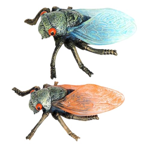 TOYANDONA 2Stücke Realistische Zikaden Modelle aus Sicherem Lernspielzeug für Lebensechte Insektenfiguren zur Dekoration und Bildung Zikaden Simulation für Schlafzimmer TOYANDONA 2Stücke Realistische Zikaden Modelle aus Sicherem Lernspielzeug für Lebensechte Insektenfiguren zur Dekoration und Bildung Zikaden Simulation für Schlafzimmer von TOYANDONA