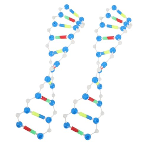 TOYANDONA Molekularstruktur-modellbausatz – 2-teiliges Doppelhelix-DNA-Modell Für Bildung Und Experimente von TOYANDONA