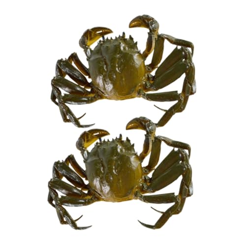 TOYANDONA 2st Simulierte Haarige Krabbe Dekorationen Für Aquarien Essen Krabbencracker Tierfiguren Tentakel Partydekorationen Unter Dem Meer Tank Krabbenbeine PVC TOYANDONA 2st Simulierte Haarige Krabbe Dekorationen Für Aquarien Essen Krabbencracker Tierfiguren Tentakel Partydekorationen Unter Dem Meer Tank Krabbenbeine PVC von TOYANDONA