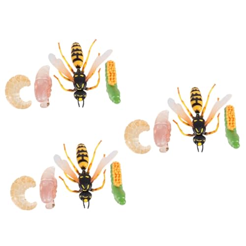 TOYANDONA 3 Sätze Wespenwachstumszyklus Puzzle-Spielzeug Rattenfigur Spielzeuge Modelle Insektenspielzeugmodell Insektenwachstumsmodell Biene schmücken einstellen Suite Kind Statue Plastik TOYANDONA 3 Sätze Wespenwachstumszyklus Puzzle-Spielzeug Rattenfigur Spielzeuge Modelle Insektenspielzeugmodell Insektenwachstumsmodell Biene schmücken einstellen Suite Kind Statue Plastik von TOYANDONA