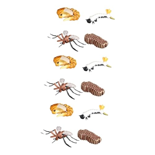TOYANDONA 3 Sätze Modelle tortendeko Einschulung Moskito-Modell Insektenfigurenmodell Lebenszyklus der Mücken Simulation Insektenmodell Tier Ornamente Kind von TOYANDONA