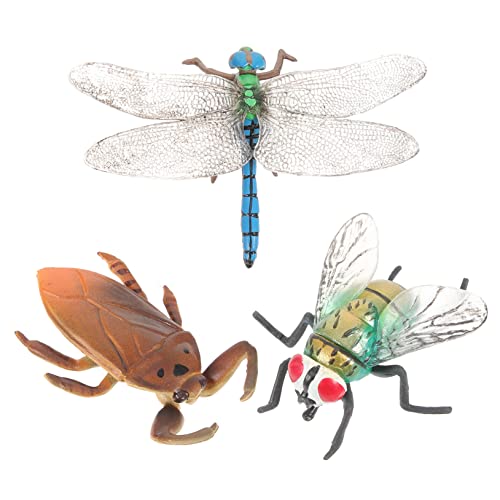 TOYANDONA 3stücke Teiliges Insektenmodellen Lernspielzeug Für Mädchen Nachbildung Für Dekoration Und Kognitive Entwicklung Für Partys Und Täglichen Gebrauch TOYANDONA 3stücke Teiliges Insektenmodellen Lernspielzeug Für Mädchen Nachbildung Für Dekoration Und Kognitive Entwicklung Für Partys Und Täglichen Gebrauch von TOYANDONA