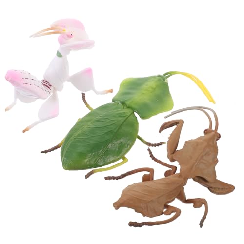 TOYANDONA 3stücke Teiliges Realistischen -Figuren Für Kinderzimmer Und Lernzwecke Sichere Kunststoff-insektenmodelle Für Kreative Dekoration Und von TOYANDONA