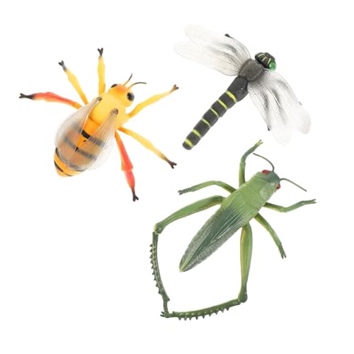 TOYANDONA 3stücke Teiliges Realistische Insekten Modelle Für Lernspielzeug Natur Biologieverständnis Für Garten Deko Und Spielzeug Für Zuhause von TOYANDONA