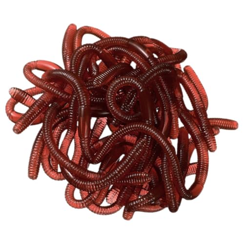 TOYANDONA 30St künstlicher Regenwurm Spiel Würmer Requisiten Würmer-Modelle Faux-Würmer-Modell Halloween Dekoration Halloween-Dekoration Fun Toy Regenwürmer-Modell Regenwurmmodelle Plastik TOYANDONA 30St künstlicher Regenwurm Spiel Würmer Requisiten Würmer-Modelle Faux-Würmer-Modell Halloween Dekoration Halloween-Dekoration Fun Toy Regenwürmer-Modell Regenwurmmodelle Plastik von TOYANDONA