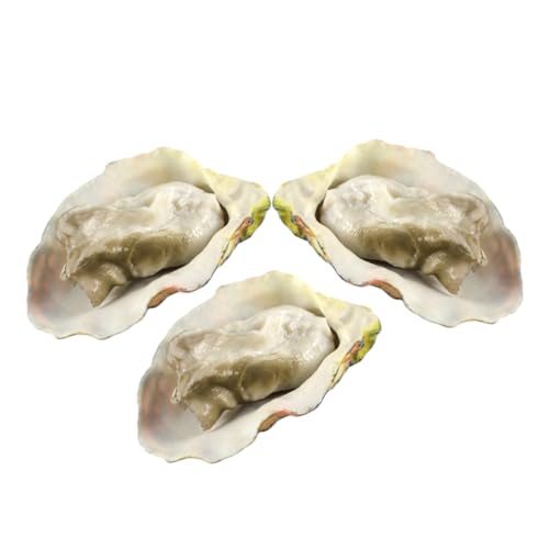 TOYANDONA 3St Oyster-Modell Kaurimuscheln Krabbe Fisch Strand Faux fauke SIM buerostuehle foodholic Miniaturlebensmittel realistisch Plastikspielfutter Künstliche Austern PVC von TOYANDONA