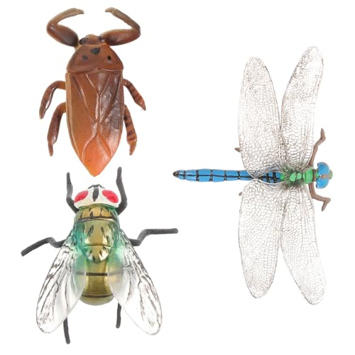 TOYANDONA Pädagogisches Lernspielzeug-Set Kinderspielzeug 3-teiliges Plastikfiguren-Set Realistische Insektenmodelle von TOYANDONA