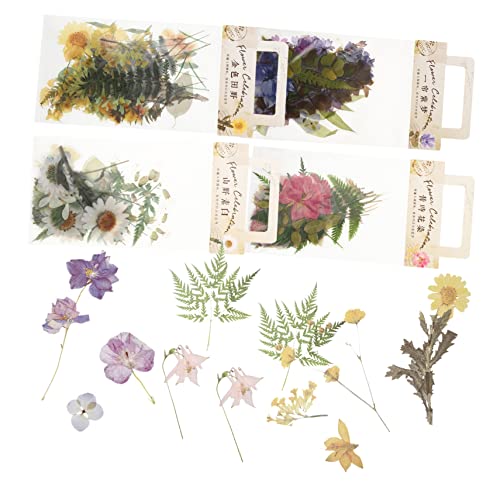 TOYANDONA 4 Sets Haustier Aufkleberpaket Retro Dekorband Transparente Aufkleber Manuelle Laptop Aufkleber Computer Nagelaufkleber Blumenaufkleber Durchsichtige Wasserflasche TOYANDONA 4 Sets Haustier Aufkleberpaket Retro Dekorband Transparente Aufkleber Manuelle Laptop Aufkleber Computer Nagelaufkleber Blumenaufkleber Durchsichtige Wasserflasche von TOYANDONA
