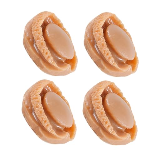 TOYANDONA Exquisite Miniatur-lebensmittelspielzeug 4 Stück Kunststoff Abalone-Modelle Nicht Für Puppenhaus-küchenzubehör von TOYANDONA