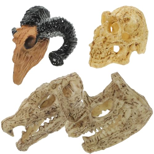 TOYANDONA 4 Stück Simulierte Tierschädeldekoration Puppe Mini Wand Gefälscht Halloween Winzige Schädel Schädelköpfe Aus Kunststoff Tierfigurendekor Winziger Schädel Schädelverzierung Plastik TOYANDONA 4 Stück Simulierte Tierschädeldekoration Puppe Mini Wand Gefälscht Halloween Winzige Schädel Schädelköpfe Aus Kunststoff Tierfigurendekor Winziger Schädel Schädelverzierung Plastik von TOYANDONA
