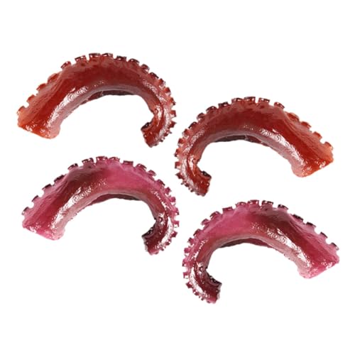 TOYANDONA 4 Stück Simuliertes Krakenklauenspielzeug Gefälschte Krakendekoration Gefälschte Krakententakeldekoration Gefälschte Krakenfotografie Requisiten Gefälschte Meerestier TOYANDONA 4 Stück Simuliertes Krakenklauenspielzeug Gefälschte Krakendekoration Gefälschte Krakententakeldekoration Gefälschte Krakenfotografie Requisiten Gefälschte Meerestier von TOYANDONA