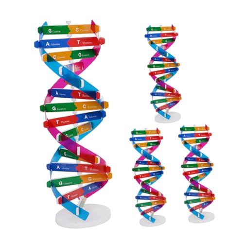 TOYANDONA 4 Stück Teiliges DNA Modell Doppelhelix Struktur Human Gene Lernspielzeug Biologisches Lehrmaterial für Unterricht und Familien DIY Montagespielzeug TOYANDONA 4 Stück Teiliges DNA Modell Doppelhelix Struktur Human Gene Lernspielzeug Biologisches Lehrmaterial für Unterricht und Familien DIY Montagespielzeug von TOYANDONA