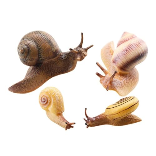 TOYANDONA 4 Stück Teiliges Schnecken spielzeugmodell Realistische Detailreiche Gartendeko Figuren Pädagogische Tierfiguren für Kreative Lernspielzeuge und Kuchen deko Geeignet für Innen und von TOYANDONA