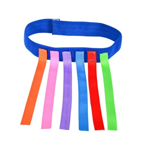 TOYANDONA 4 Stück Teiliges Tail Catch Spielgürtel aus Oxford Stoff Strapazierfähige Spielbänder für Bewegung und Logiktraining Buntes Outdoor Partyspiel Zubehör für Jungen und Mädchen TOYANDONA 4 Stück Teiliges Tail Catch Spielgürtel aus Oxford Stoff Strapazierfähige Spielbänder für Bewegung und Logiktraining Buntes Outdoor Partyspiel Zubehör für Jungen und Mädchen von TOYANDONA
