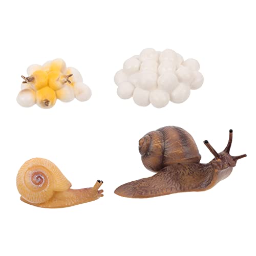 TOYANDONA 4stücke Lebenszyklus Von Schnecken Figurinen Bildungs-Spielzeug Für Junge Mädchen Realistische Dekoration Für Lernzwecke Und Kreatives Spiel von TOYANDONA