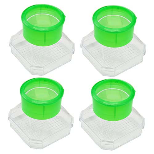 TOYANDONA 4Er-Box Insekten-Terrarium Lebewesen Käfigvergrößerung Beobachtungskäfig für Zuschauer kinderfindee hühner Outdoor-Erkundungswerkzeuge Explorer-Kit Plastik Green TOYANDONA 4Er-Box Insekten-Terrarium Lebewesen Käfigvergrößerung Beobachtungskäfig für Zuschauer kinderfindee hühner Outdoor-Erkundungswerkzeuge Explorer-Kit Plastik Green von TOYANDONA