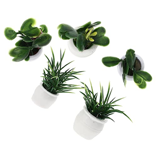 TOYANDONA 5 Stück Mini-Pflanzenmodell Dollhouse Greeny Puppenhaus Mini-Topfpflanze Blumenmodell Miniatur Moos Miniaturen Spielhaus Gartenzubehör Miniaturdekoration Bonsai-Handwerk Plastik von TOYANDONA