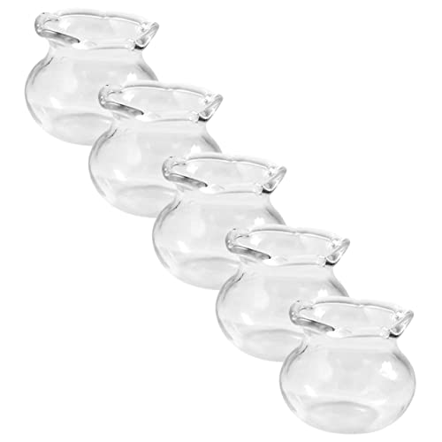 TOYANDONA 5 Stück Puppenhaus Aquarium Aquarium Reinigungspulver Fischglas Fischlampe Aquarium Aquarium Figur Aquarium Gadgets Künstliches Aquarium Aquarienpflanzen TOYANDONA 5 Stück Puppenhaus Aquarium Aquarium Reinigungspulver Fischglas Fischlampe Aquarium Aquarium Figur Aquarium Gadgets Künstliches Aquarium Aquarienpflanzen von TOYANDONA