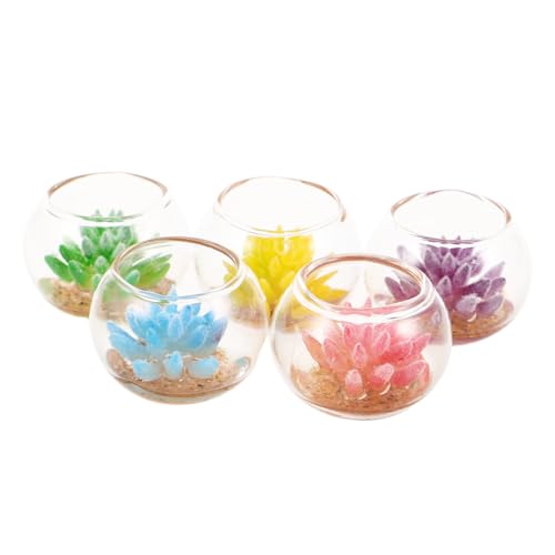TOYANDONA 5stücke Miniatur-sukkulenten-töpfe Mit Künstlichen Mini-Pflanzen Bunte Blumentöpfe Aus Glas Für Puppenhaus-Dekoration Und Miniatur-gartenornamente von TOYANDONA