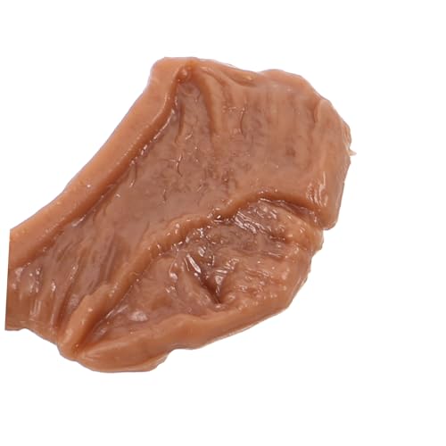 TOYANDONA 50 Stück Miniatur Fake Steak Realistische Attrappe mit Farbechter Oberfläche Lebensechte Mini Steaks für Dekoration Fotografie Requisiten Markt und Küchendeko von TOYANDONA