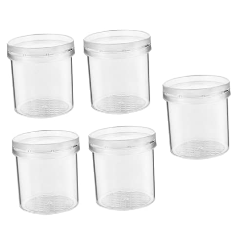 TOYANDONA Lupen Für Kinder 5er Set Insekten Beobachtungsbecher Mit Lupe Magnifying Container Für Und Ideal Für Naturerkundung Und Wissenschaftliche Experimente Den Schulunterricht von TOYANDONA