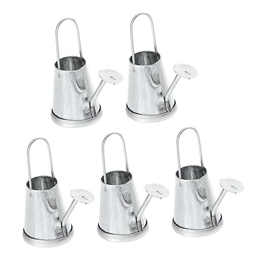 TOYANDONA 5st Wasserkocher Micro Landschaft Zinn Anlage Vintage Mini-gießkannen Kindergießkanne Miniatur Puppenhaus Schlauch Container Wasserkanne Für Im Freien Docht Eisen Silver von TOYANDONA