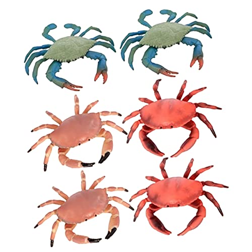 TOYANDONA 6 Stück Simulation Krabben Dekoration Kinderspielzeug Meerestiermodell Entzückendes Tiermodell Dekoration Haarige Krabbe Party Kinderspielzeug Kreative Haarige Krabbe Lernen TOYANDONA 6 Stück Simulation Krabben Dekoration Kinderspielzeug Meerestiermodell Entzückendes Tiermodell Dekoration Haarige Krabbe Party Kinderspielzeug Kreative Haarige Krabbe Lernen von TOYANDONA