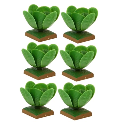TOYANDONA 6St -Modell für kinderspielzeug kinderknallzeug Pädagogisches Kid Toys Fälschung gefälscht vorgeben Gemüsemodell Modelle Plastik Green TOYANDONA 6St -Modell für kinderspielzeug kinderknallzeug Pädagogisches Kid Toys Fälschung gefälscht vorgeben Gemüsemodell Modelle Plastik Green von TOYANDONA
