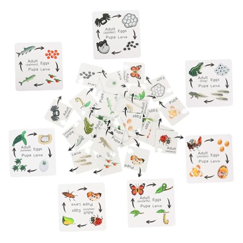 TOYANDONA 7 Sätze Vorschulspielzeug Bildungsspielzeug Puzzle- Holz Puzzle Holz rätsel puzzlekleber Puzzlematte pädagogisches Kleinkindspielzeug kleine Rätsel für hölzern TOYANDONA 7 Sätze Vorschulspielzeug Bildungsspielzeug Puzzle- Holz Puzzle Holz rätsel puzzlekleber Puzzlematte pädagogisches Kleinkindspielzeug kleine Rätsel für hölzern von TOYANDONA