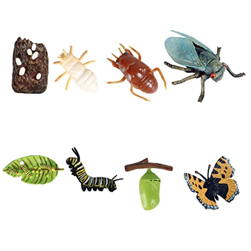 TOYANDONA 8 Stück Wachstumszyklus kinderspielzeug für Miniature Animal Toy spielzeuge Wachstumszyklusanzeige Prop Lebensdauer des Wachstumszyklus Plastik TOYANDONA 8 Stück Wachstumszyklus kinderspielzeug für Miniature Animal Toy spielzeuge Wachstumszyklusanzeige Prop Lebensdauer des Wachstumszyklus Plastik von TOYANDONA