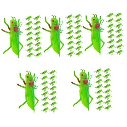 TOYANDONA 80 STK Simulierte Heuschrecke Spielzeuge Wohnkultur Modelle Dekoration Simulation Heuschreckenfigur Heuschrecken-Ornament Insektenfigur Desktop-dekor Ornamente Puzzle Kind von TOYANDONA