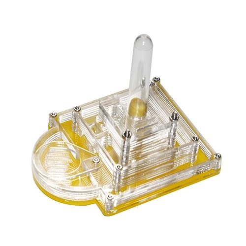 TOYANDONA Ameisennest Für Den Außenbereich Ameisenbär Set Ameisen Beobachten Ameisenhaus Glockenspiel Futterspender Terrarium Plüsch Ei Ameisenkolonie Ameisenaufbewahrungsnest von TOYANDONA