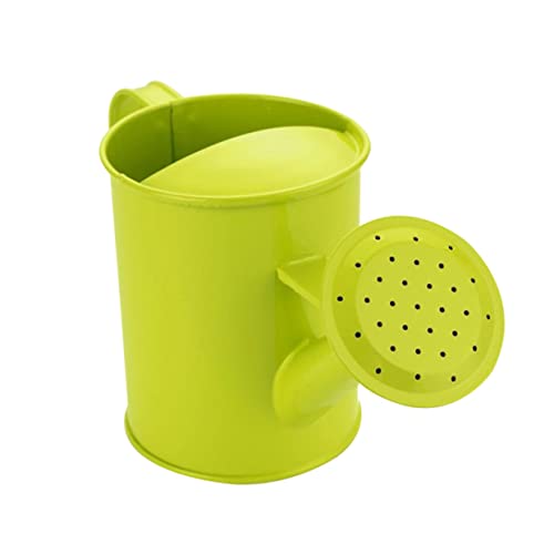 TOYANDONA Blumentopf Mini-reiskocher Projekt Rasenmäher Flasche Im Freien Behälter Kindergäuer Mini Reiskocher Klein Kleine Gießkanne Düse Flüssig Light Green Schmiedeeisen von TOYANDONA