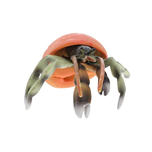 TOYANDONA Einsiedlerkrebs-Modell Kindertiermodell anschauliches Tiermodell für kinderspielzeug replicas Modell Einer Tierfigur realistisches Tiermodell Plastik rot von TOYANDONA