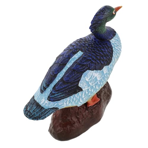 TOYANDONA Enten Erkennungsspielzeug Für Simulationstiere Lustige Figur Wildtierfiguren Tiersimulationsornamente Zootierfiguren Solide Tiermodelle Simulationstierornamente TOYANDONA Enten Erkennungsspielzeug Für Simulationstiere Lustige Figur Wildtierfiguren Tiersimulationsornamente Zootierfiguren Solide Tiermodelle Simulationstierornamente von TOYANDONA