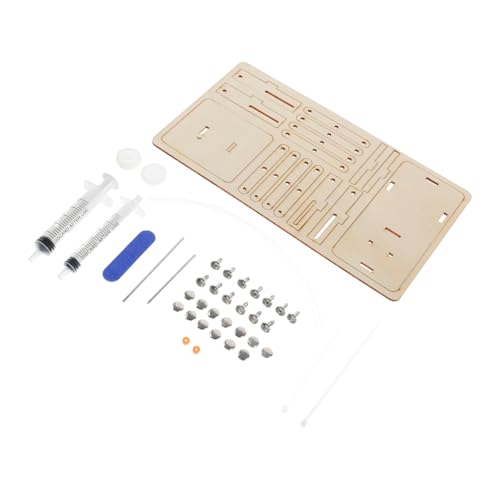 TOYANDONA Holz DIY Hydraulik Hebebühne Bausatz Wissenschaft Experiment Ab Jahre Sicherer Lernbaukasten zur Neugier und Technikverständnis Kreatives Handwerksprojekt von TOYANDONA