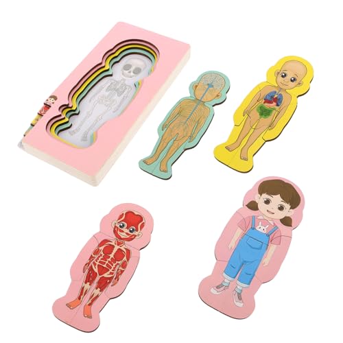 TOYANDONA Holzkörper -rätsel Anatomie -Puzzle Für Kinder Menschliches Körper Lernspielzeug Kleinkind Bildungsorgel Puzzle von TOYANDONA