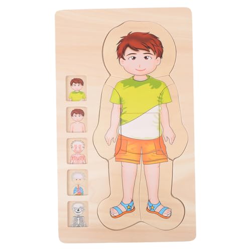 TOYANDONA Holzpuzzle Körperstruktur Lernspielzeug für Ab Jahren Mehrschichtiges Anatomisches Motorikspielzeug Körperbewusstsein Sicher und Glatt Pädagogisches Kinderspielzeug von TOYANDONA