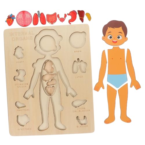TOYANDONA Holzpuzzle Menschlicher Körper Lernspielzeug für Abnehmbares Organmodell Pädagogisches Montessori zur Anatomieerkennung für Jungen und Mädchen von TOYANDONA