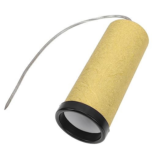 TOYANDONA Imitation Schallröhre -Shaker- Trommel Kleinkindspielzeug Für Mädchen Instrumente Musikalisches Schlaginstrument Silver Trommelkörper Aus Papier TOYANDONA Imitation Schallröhre -Shaker- Trommel Kleinkindspielzeug Für Mädchen Instrumente Musikalisches Schlaginstrument Silver Trommelkörper Aus Papier von TOYANDONA