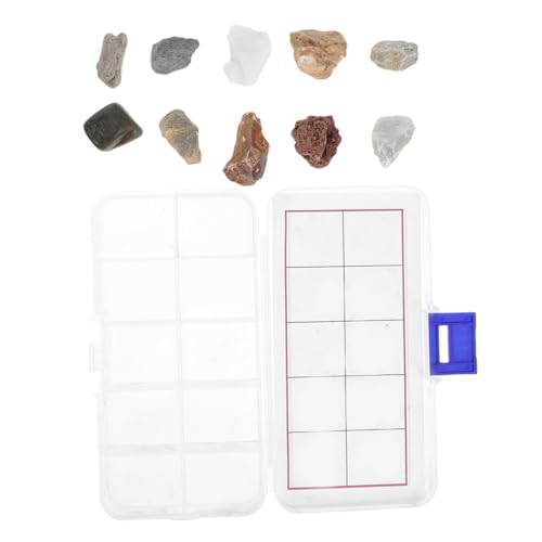 TOYANDONA Kit mit Natürlichen Gesteins und Mineralproben Inklusive Aufbewahrungsbox und Identifikationsführer für Schule und Zuhause Leicht Tragbar und Speziell für Grundschüler Entwickelt TOYANDONA Kit mit Natürlichen Gesteins und Mineralproben Inklusive Aufbewahrungsbox und Identifikationsführer für Schule und Zuhause Leicht Tragbar und Speziell für Grundschüler Entwickelt von TOYANDONA