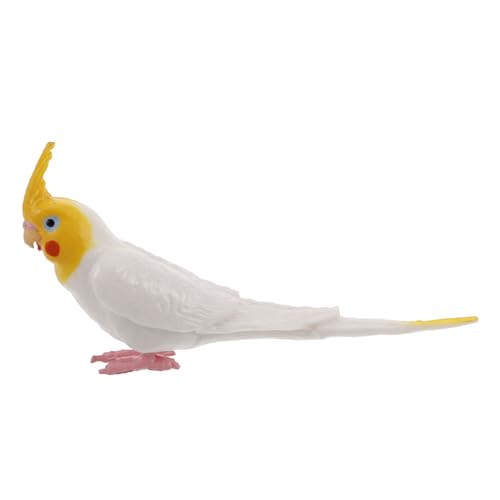 TOYANDONA Künstliche Papageienfigur Für Dekoration Realistisches Modell des Nymphensittichs Für Innen Und Außendekoration Vogelspielzeug Für Papageien Detailreiche Skulptur TOYANDONA Künstliche Papageienfigur Für Dekoration Realistisches Modell des Nymphensittichs Für Innen Und Außendekoration Vogelspielzeug Für Papageien Detailreiche Skulptur von TOYANDONA