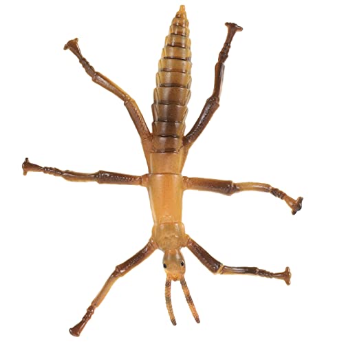TOYANDONA Kunststoff Insektenmodell für Realistisches Lernspielzeug zur Frühen Bildung für Partys und Dekorative Requisiten TOYANDONA Kunststoff Insektenmodell für Realistisches Lernspielzeug zur Frühen Bildung für Partys und Dekorative Requisiten von TOYANDONA