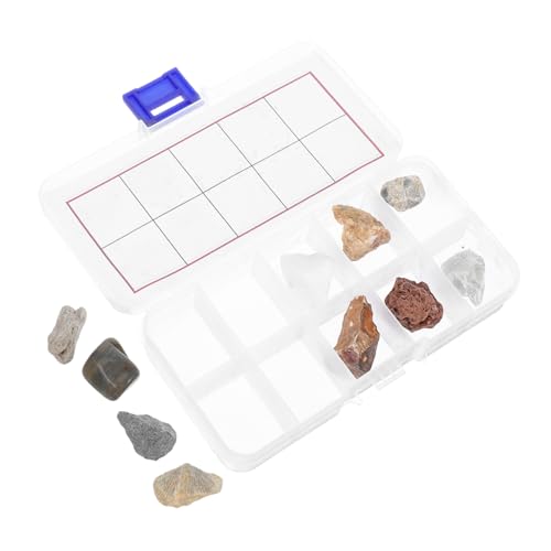 TOYANDONA Lernset mit Natürlichen Gesteinsproben Inklusive Mineralien Fossilien und Kristallen für Schule und Zuhause mit Aufbewahrungsbox und Bestimmungsanleitung TOYANDONA Lernset mit Natürlichen Gesteinsproben Inklusive Mineralien Fossilien und Kristallen für Schule und Zuhause mit Aufbewahrungsbox und Bestimmungsanleitung von TOYANDONA
