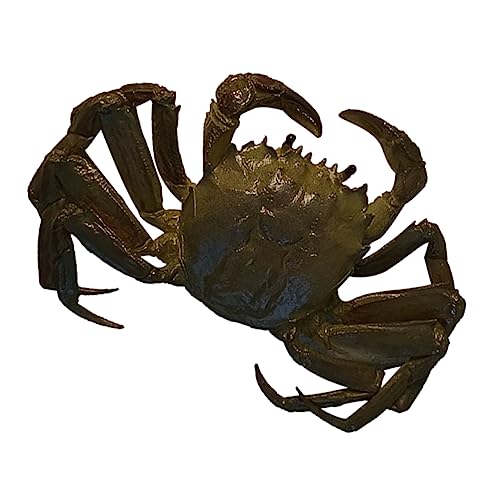 TOYANDONA Lernsimulation Krabbe Meerestierspielzeug Künstliches Tiermodell Lebensechte Simulation Krabbe Dekoration Kinderspielzeug Simulierte Krabbe Kinderspielzeug Kreative Simulation von TOYANDONA