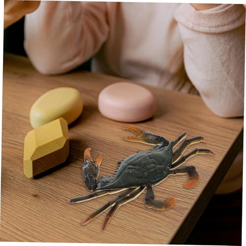 TOYANDONA Lernspielzeug Plastik Krabbenmodell Realistische Simulation Meeresbewohner Leichtes Sicheres Kunststoffspielzeug Vorstellungskraft und Kognition für Kleinkinder und Vorschulkinder von TOYANDONA