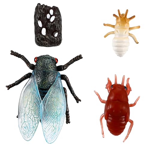 TOYANDONA Lernspielzeug Teiliges Zikaden Lebenszyklus Modell Realistische Insekten Figuren Simulation Pädagogisches Wissenschaftsspielzeug für Schule und Party Goodie Bag Füller TOYANDONA Lernspielzeug Teiliges Zikaden Lebenszyklus Modell Realistische Insekten Figuren Simulation Pädagogisches Wissenschaftsspielzeug für Schule und Party Goodie Bag Füller von TOYANDONA