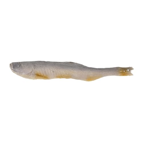 TOYANDONA Lifelike Faux Dried Fish Model Leichtes Realistisch Texturiertes Kunstfisch Dekor für Restaurant Schaufenster und Fotografie Requisiten Langlebige Wartungsfreie Küchen Accessoires von TOYANDONA