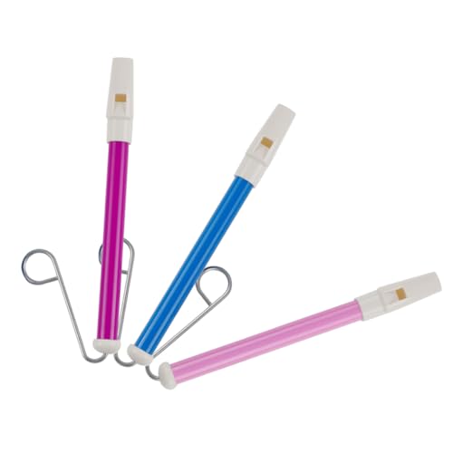 TOYANDONA Lustiges Musikspielzeug Mit Schiebepfeife – 3er-Pack – Sensorisches Babyspielzeug – Kleinkindinstrumente – Musikalisches Blasinstrument – ​​partygeschenke von TOYANDONA